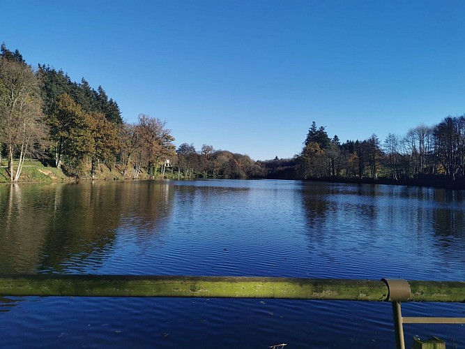 Étang Moulin Neuf à Argentré du Plessis