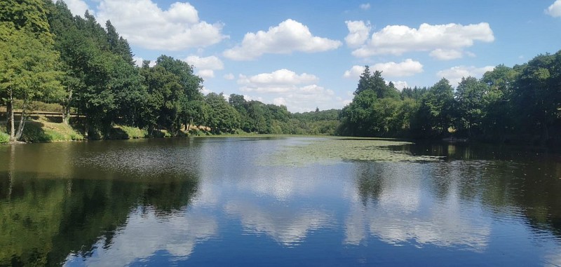 Moulin Neuf à Argentré du Plessis