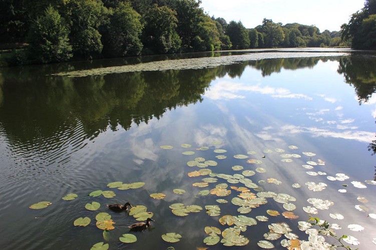 Etang du Moulin aux Moines