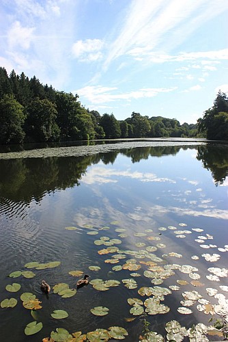 Etang du Moulin aux Moines