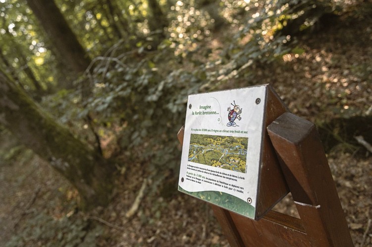 VitréCommunauté-ADT35-MathieuleGall (102)