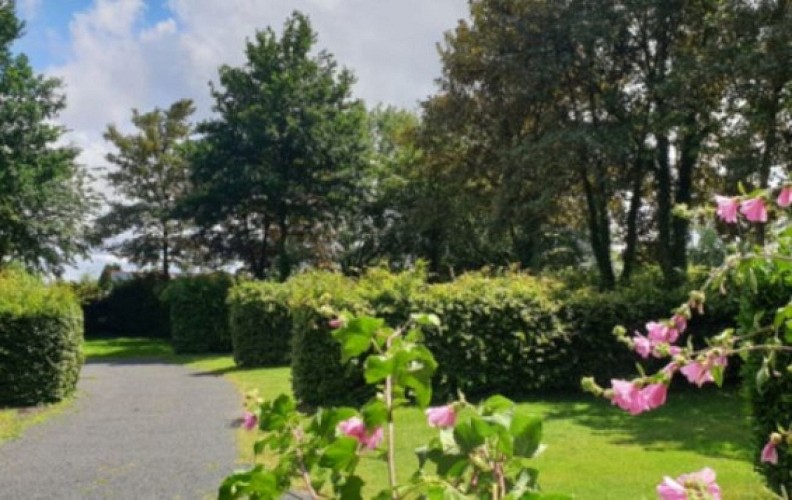 camping_chardonneret_2