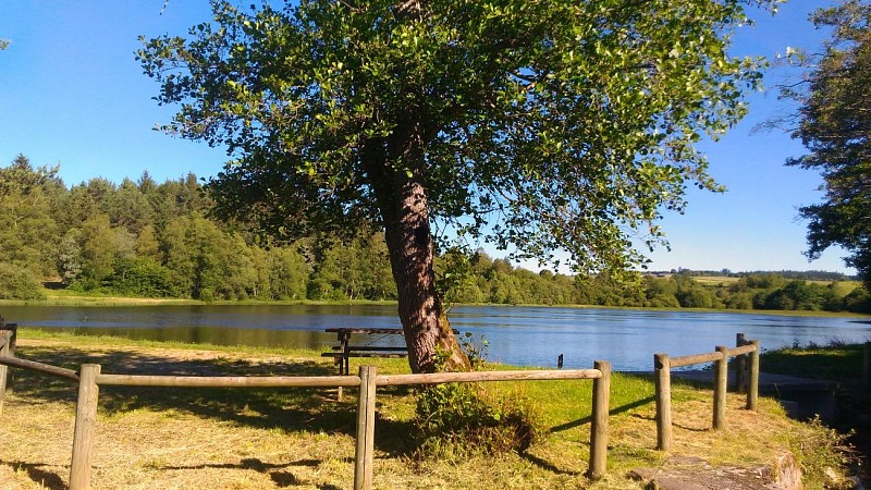 Fishing site - Étang Willy Mabrut