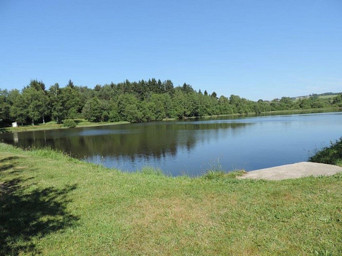 Site de pêche - Étang Willy Mabrut