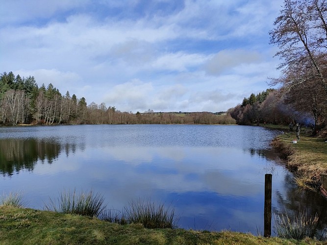 Site de pêche - Étang Willy Mabrut