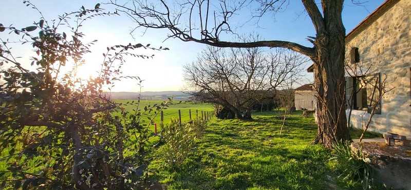 HLOAQU047V50ML03_Seyches_LeChai_5