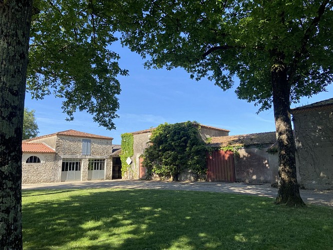 Prestations oenotouristiques au Château La Guipière