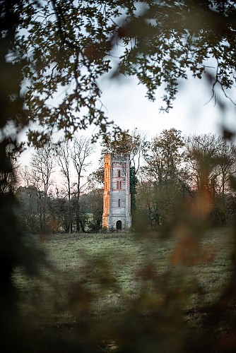 Prestations oenotouristiques au Château La Guipière