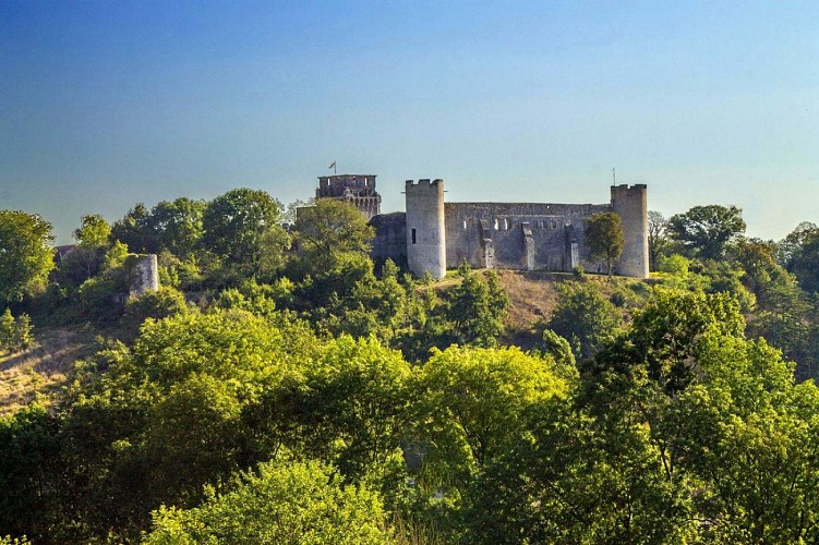 Château Fort de Druyes-les-Belles-Fontaines en Bourgogne (2)
