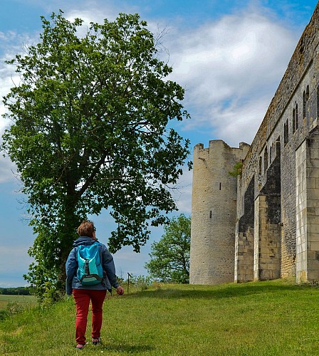 Château Fort de Druyes-les-Belles-Fontaines en Bourgogne (6)