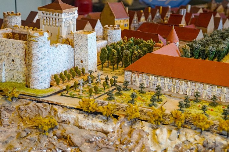 Château Fort de Druyes-les-Belles-Fontaines en Puisaye-Forterre près d'Auxerre en Bourgogne (3)