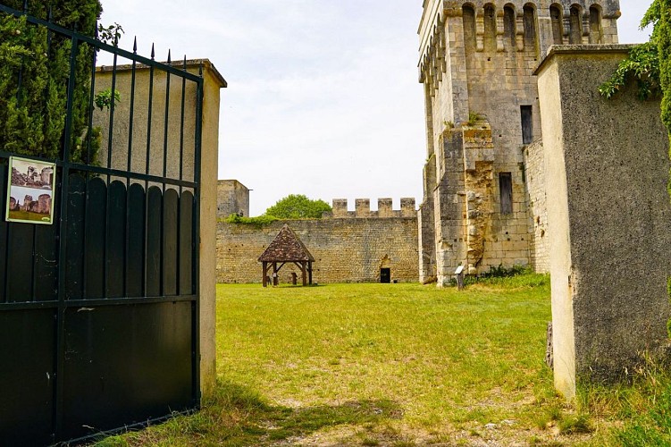 Château Fort de Druyes-les-Belles-Fontaines en Puisaye-Forterre près d'Auxerre en Bourgogne (1)