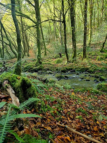 Nature - Fontaine St Eutrope
