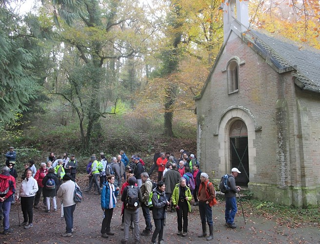 [FERMEE AU PUBLIC] Forêt de Grimbosq