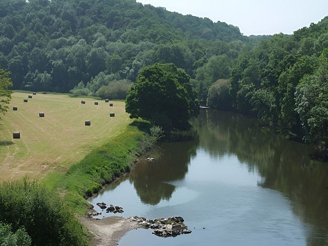 Forêt-en-bordure-de-l'Orne-
