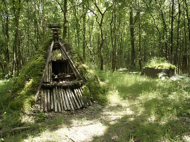 Motte-de-charbonnier-Bertra