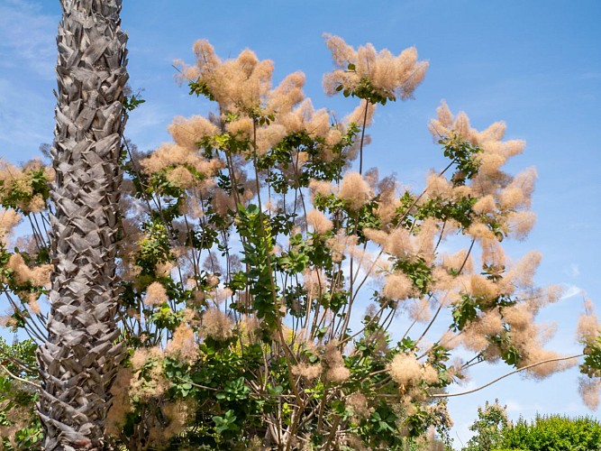 Petanquebaan op de Rambla