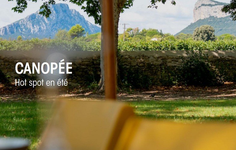 Capture d’écran 2025-06-02 154752