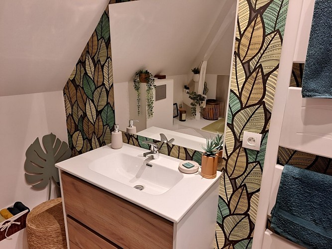 CHH chez Isa et Michel_Vire_SDB