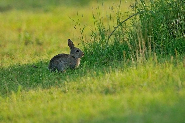Entrée du site naturel préservé