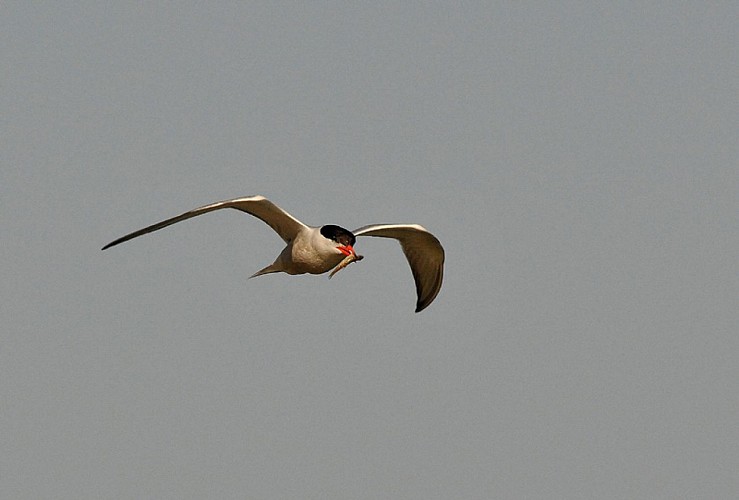 Entrée du site naturel préservé