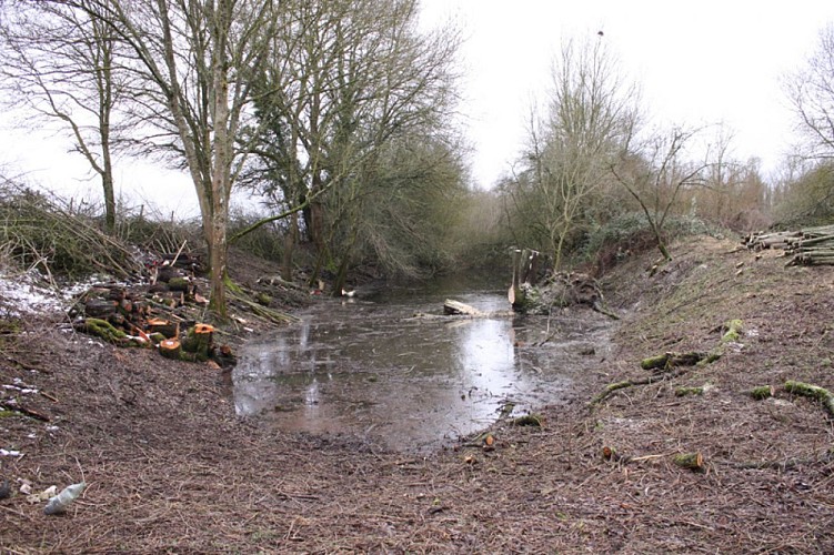 Vue sur la zone humide