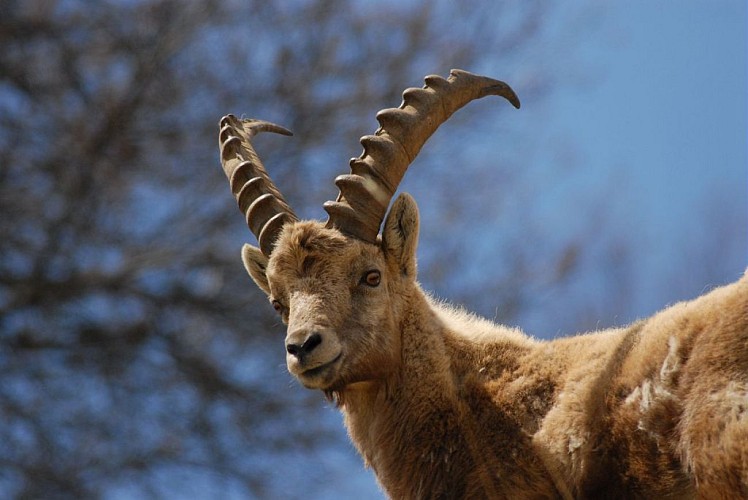 Parc National des Ecrins