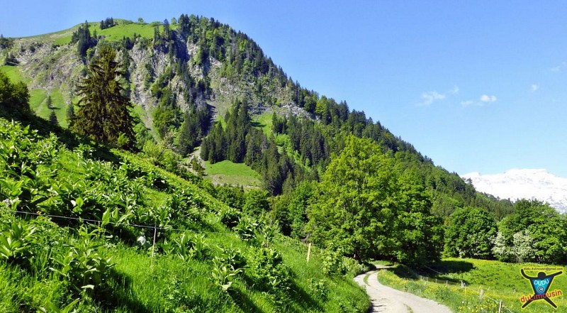 Chemin rural dit de Sous Sulens