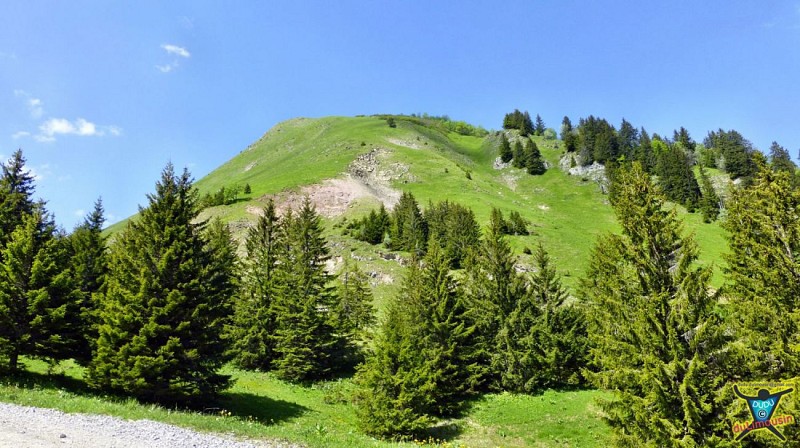 Les Lanches (1380 m)