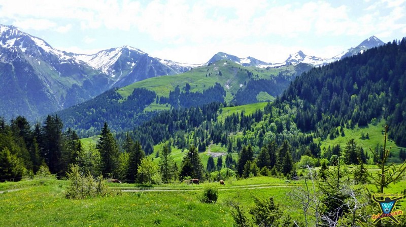 Au dessus des Lanches et de la Coupalle