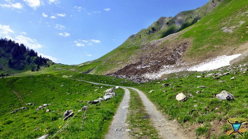 Paysages depuis la piste menant des Lanches à Bois Noir