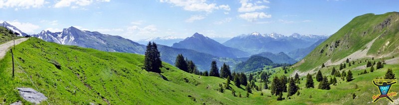 Col de Plan du Tour (1650 m)
