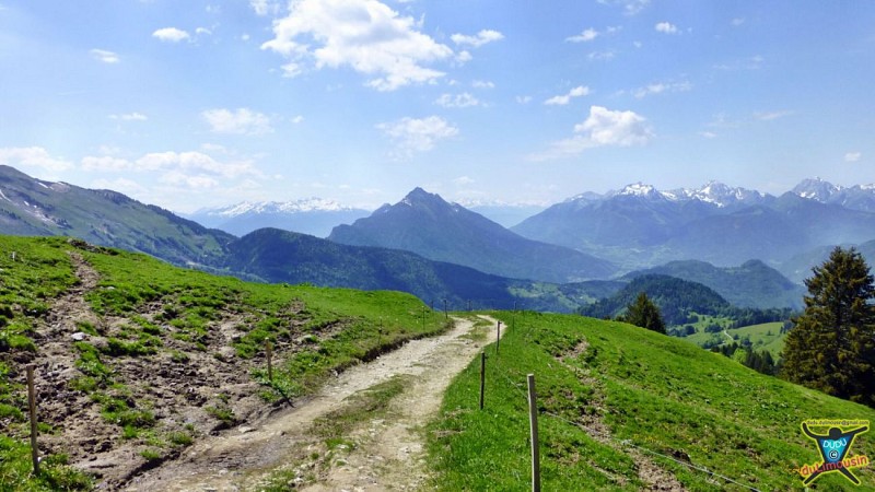 Col de Plan du Tour (1650 m)