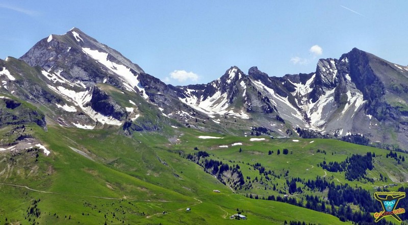 Au dessus de la Savatte : vue sur le massif du Charvin (La Tulle 2014 m - Mont Charvin 2409 m)
