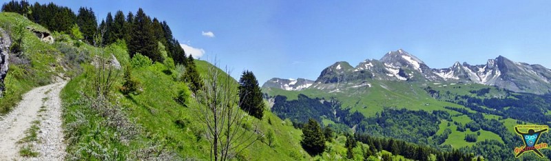 Descente vers Crêt Vernand
