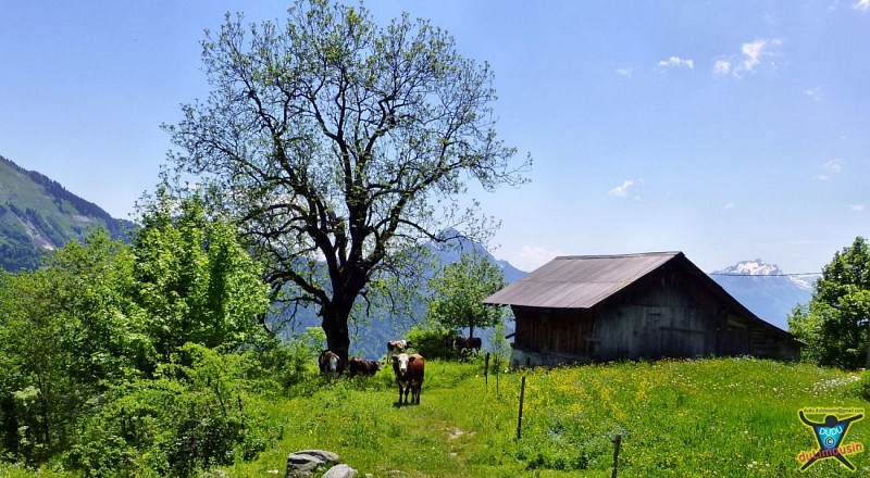 Chemin rural dit du Crêt Vermand