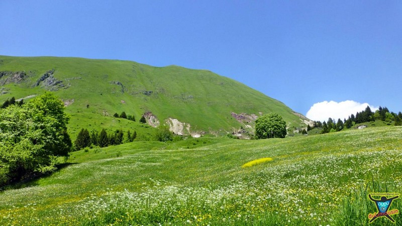 Route des Pézières (1290 m)
