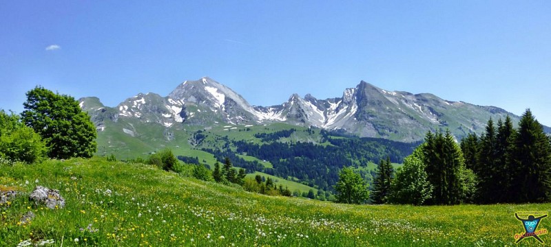 Route des Pézières (1290 m)