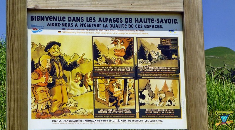 Route des Pézières (1290 m)