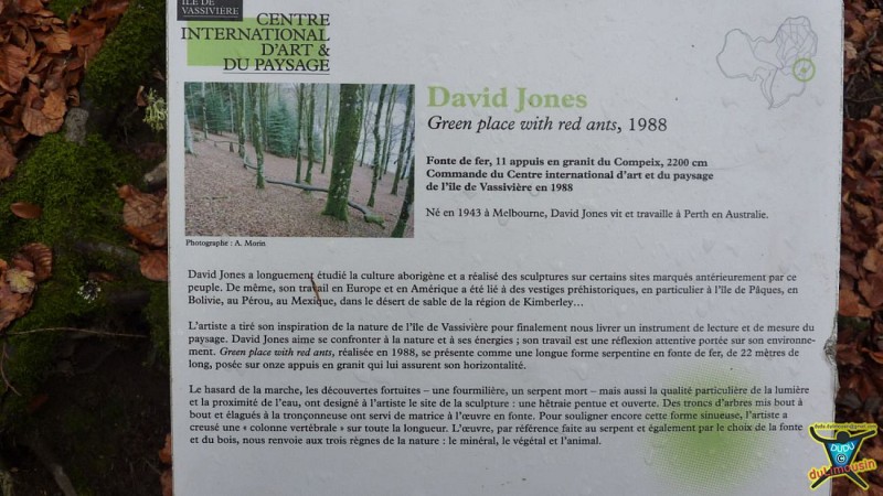 Green place with red ants de David Jones