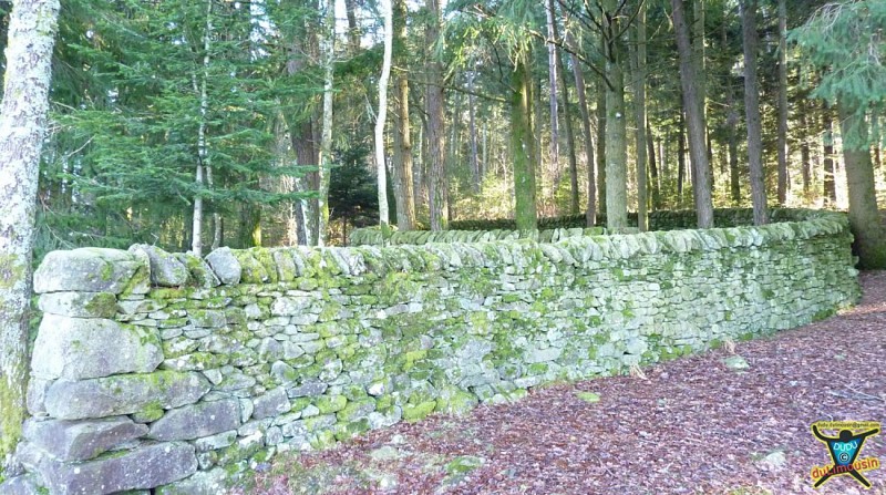 Les deux boucles d'Andy Goldsworthy