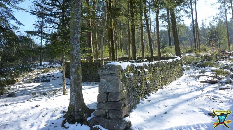 Les deux boucles d'Andy Goldsworthy