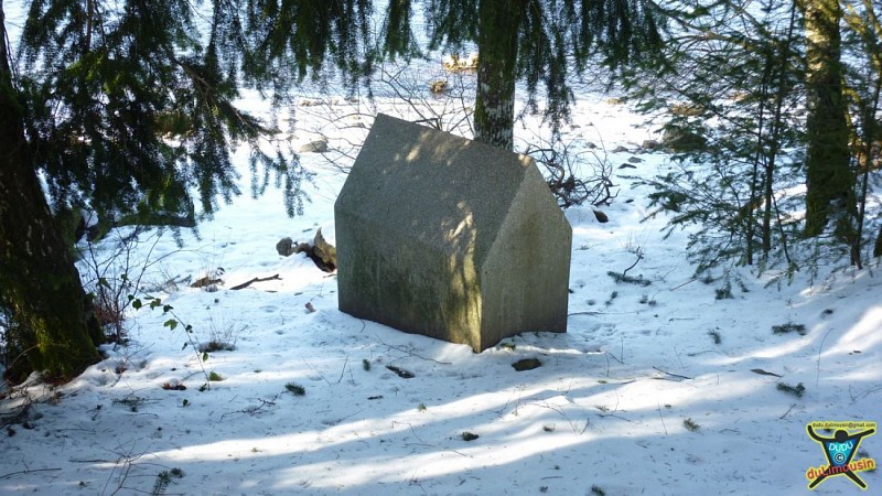 La Maison de Laine de Frédéric Ollereau