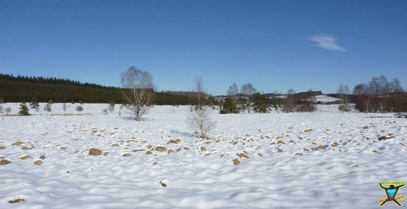 La Tourbière du Longeyroux sous la neige