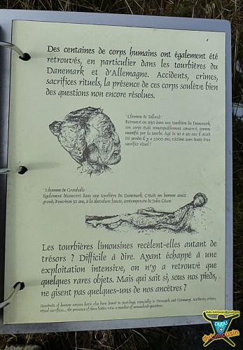 Archives biologiques - Tourbière du Longeyroux