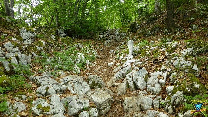 Sentier des crêtes du Mont Veyrier