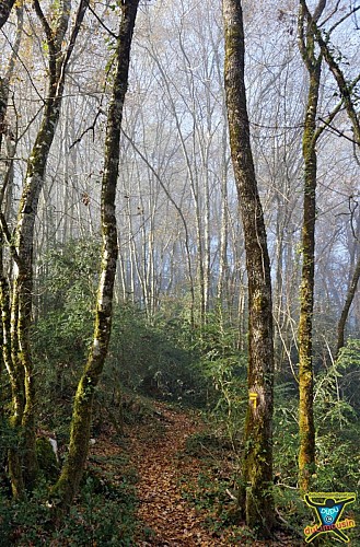 A gauche direction Monges / Point de vue