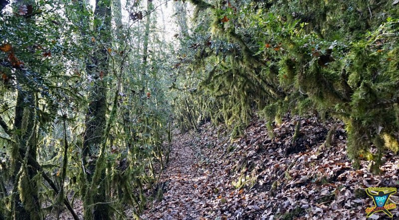 A droite grimper le sentier vers Point de vue / Blanzaguet