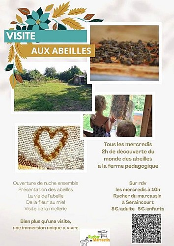 Visites du rucher