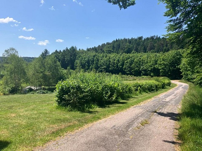 Route d'accès (2025).